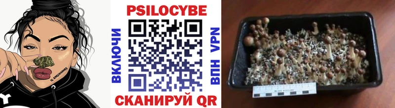 Псилоцибиновые грибы Magic Shrooms  Кольчугино 